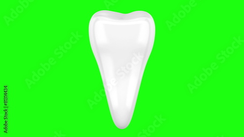 3d human tooth loop rotate on green chromakey background