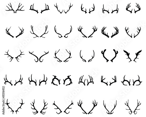 Black silhouettes of different deer horns, vector