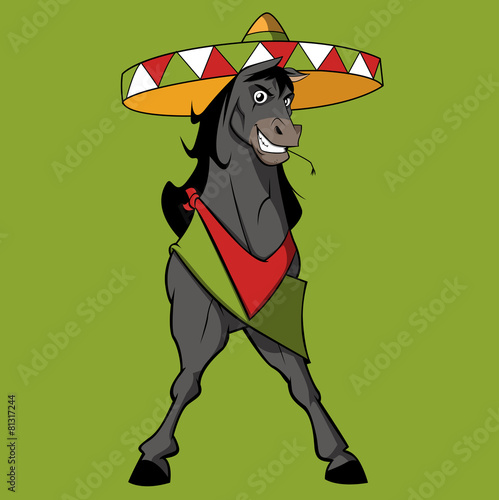 Mexico horse