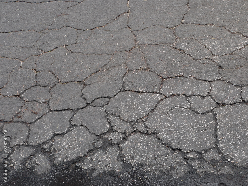 Obraz premium 道路のヒビ