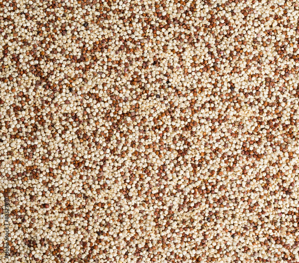 Quinoa Quinoa