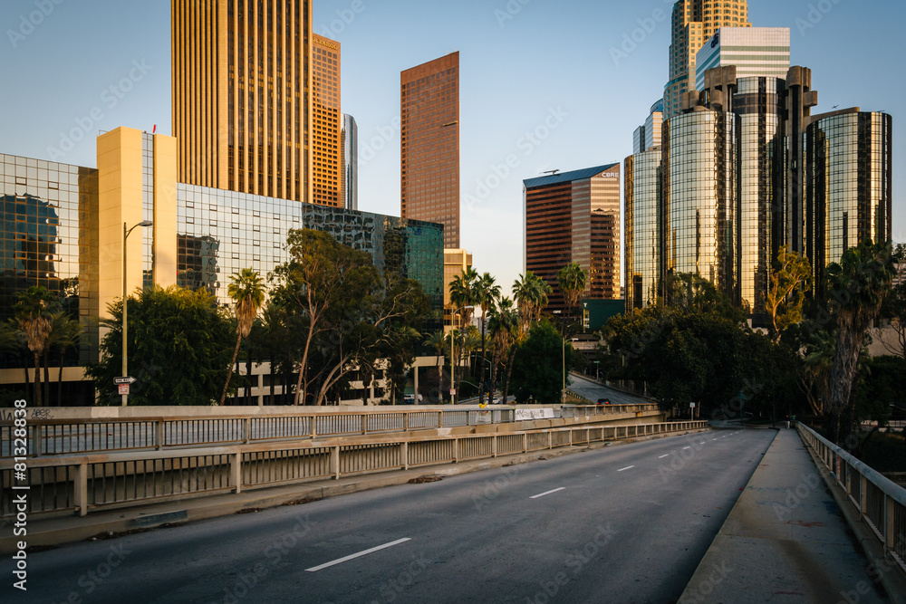 Buildings in downtown Los Angeles and the 4th Street Bridge, in