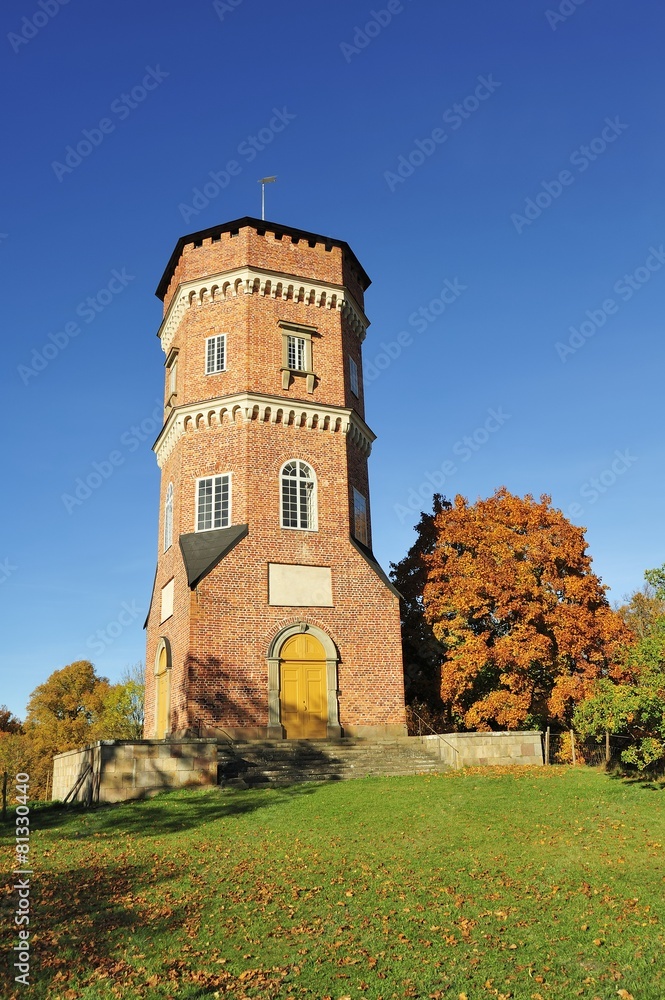 Fototapeta premium Gothic tower