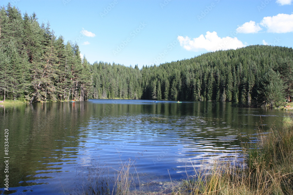 lac dans la foret bulgare