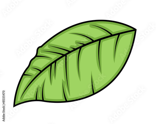 Green Vector Leaf
