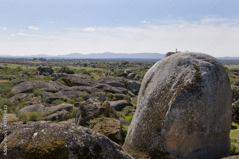 Storks and stones. Natural Park of Barruecos, Spain Storks and stones. Natural Park of Barruecos, Spain