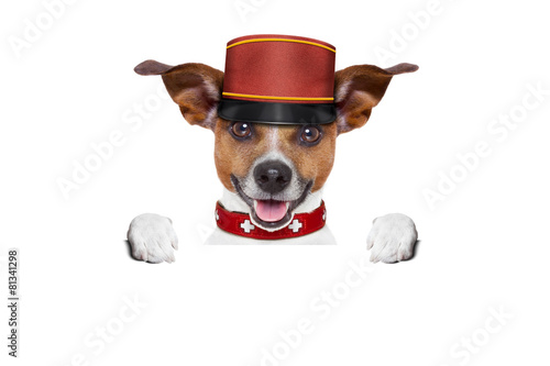 bellboy dog photo