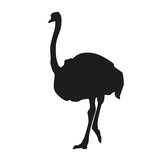 Isolated ostrich. Vector silhouette