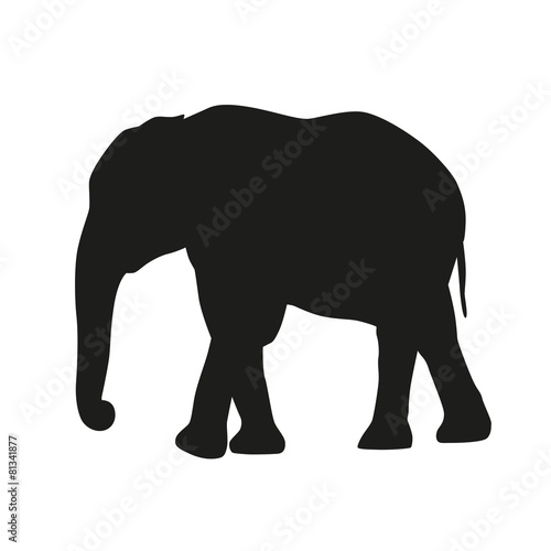 Isolated elephant. Vector silhouette