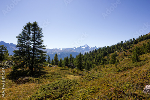 Wallpaper Mural Paesaggio di montagna con alberi Torontodigital.ca
