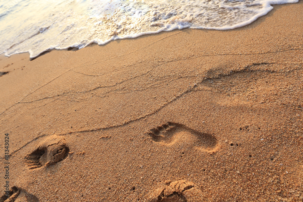 Obraz premium footprints in the sand