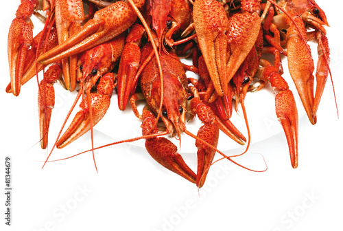 red boiled crawfish on a white background