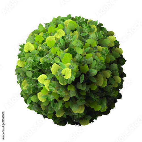 Ball, ring made from green leaves.