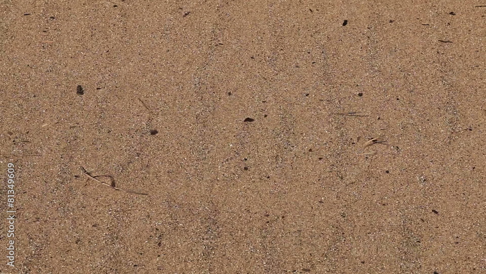 Sand Blown by Wind Sand Blown by Wind