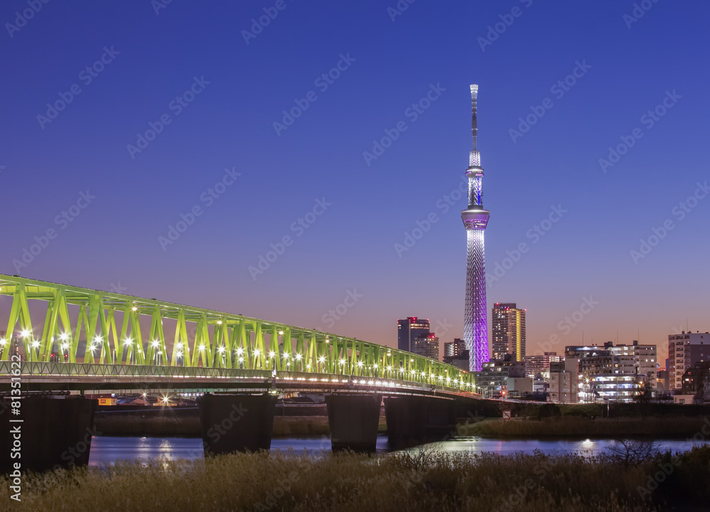 Tokyo city view with Tokyo sky tree and sumida river at twilight