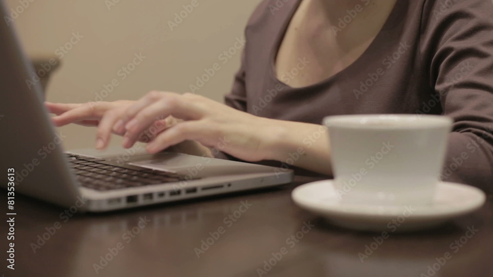 Woman working on laptop in the cafe Woman working on laptop in the cafe