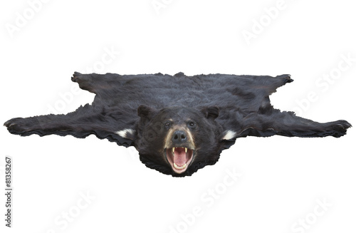 Low angle view of a bearskin rug isolated on white photo