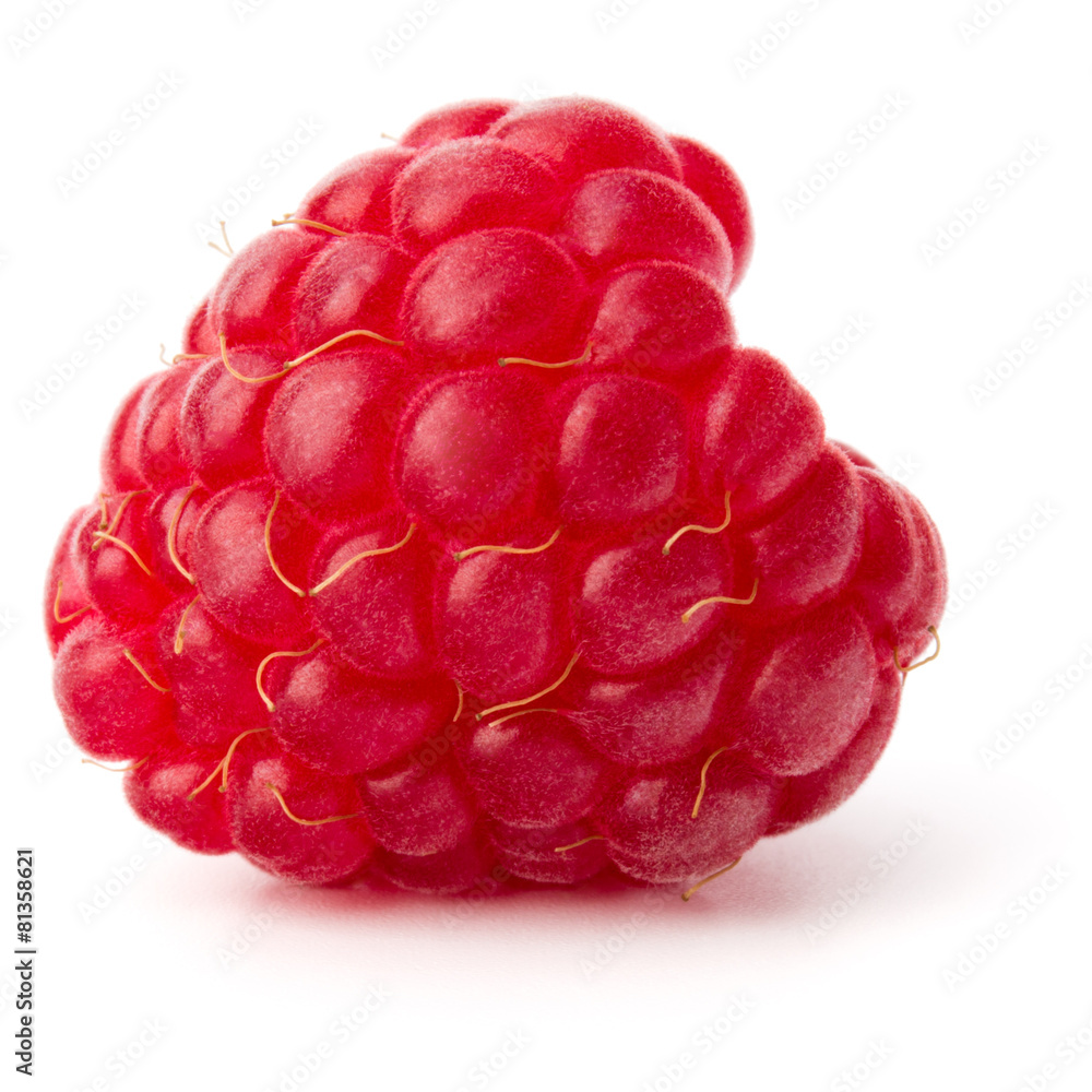 ripe raspberry isolated on white background close up ripe raspberry isolated on white background close up