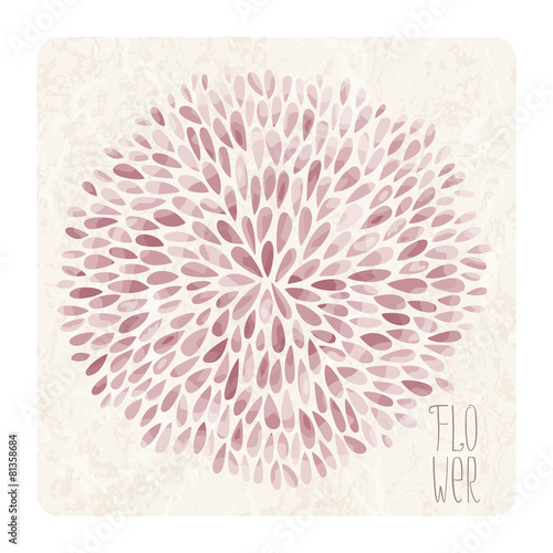 Fototapeta Naklejka Na Ścianę i Meble -  Aster Flower