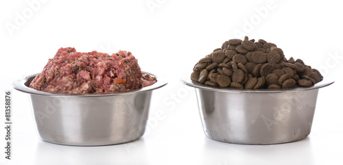 bowl of raw and kibble