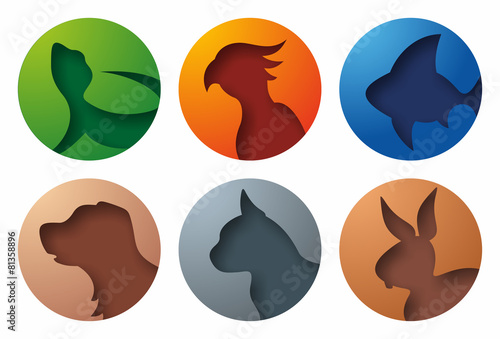 Fototapeta Naklejka Na Ścianę i Meble -  Pet Icons Shadow
