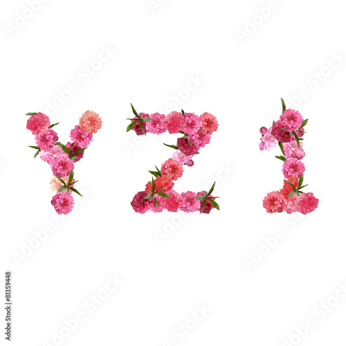 Alphabet of pink beautiful sakura flowers letters nature