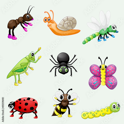 Set of cute cartoon insects © karmina83