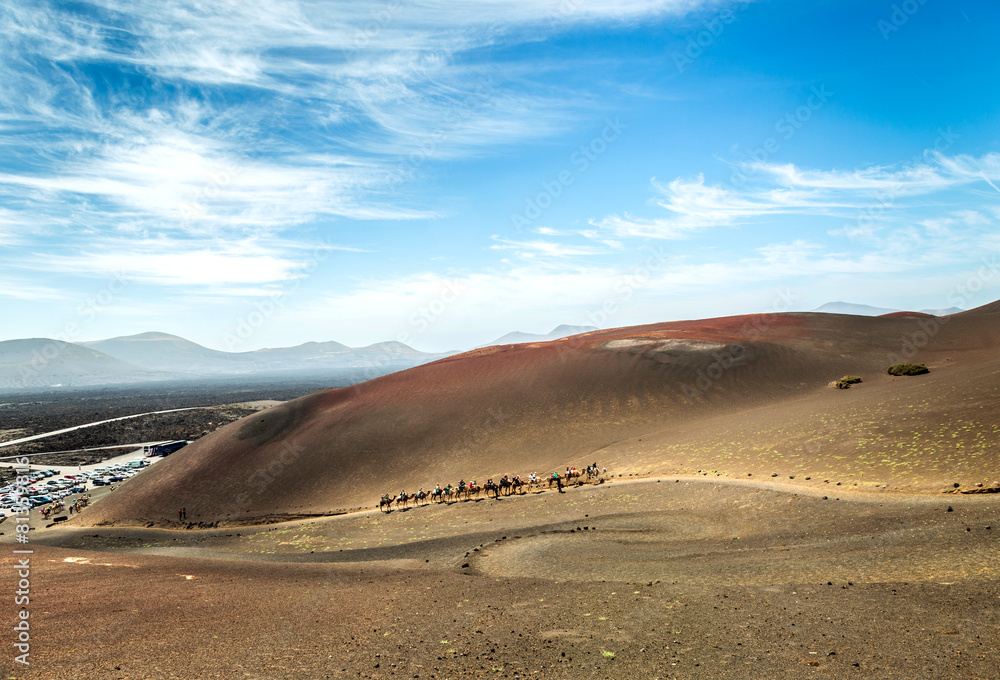 Caravan of camels in the desert on Lanzarote