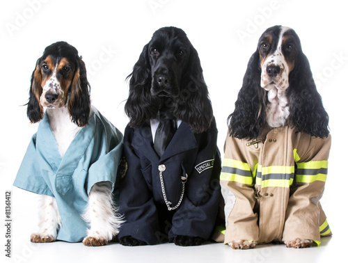 Fotografie first responders