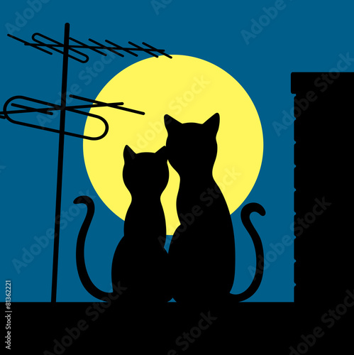 cats on a night roof