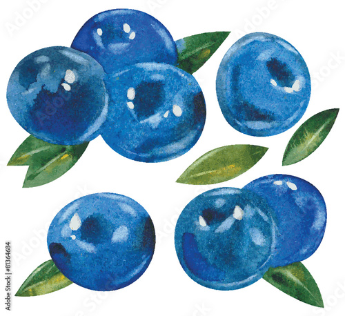 blueberries with leaves