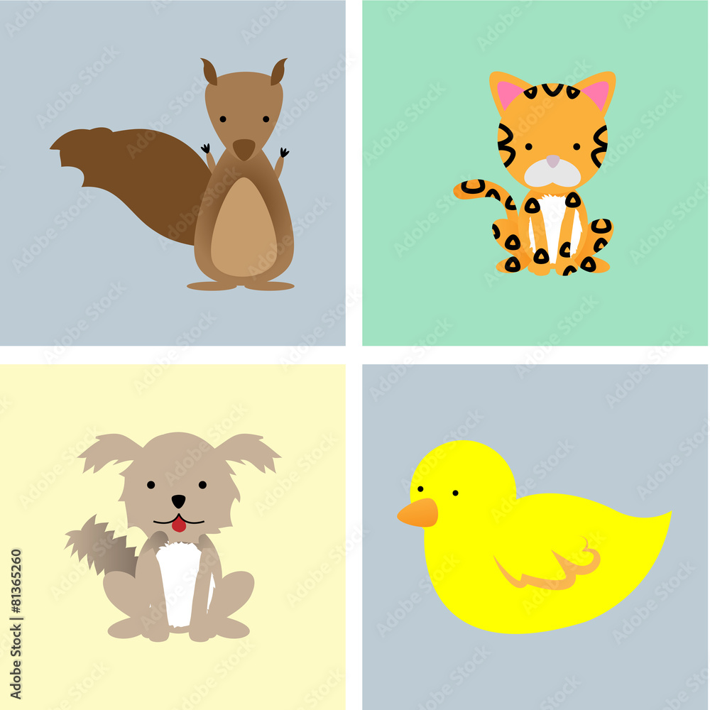 Fototapeta premium Animals
