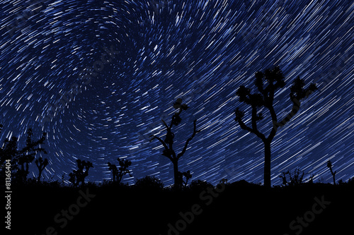 Long Exposure Star Trails In Joshua Tree National Park photo