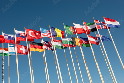 flags on flagpoles fluttering in the wind photo