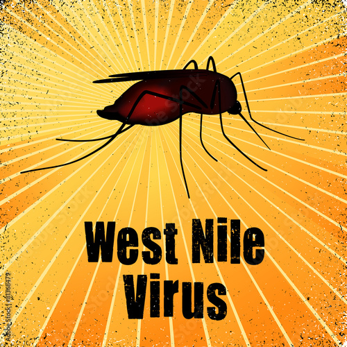 Mosquito, West Nile Virus, heath care, medical, gold rays