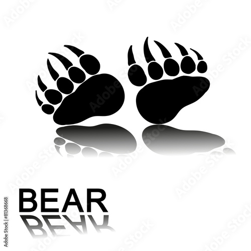 bear paw prints