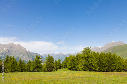 Italian Alps