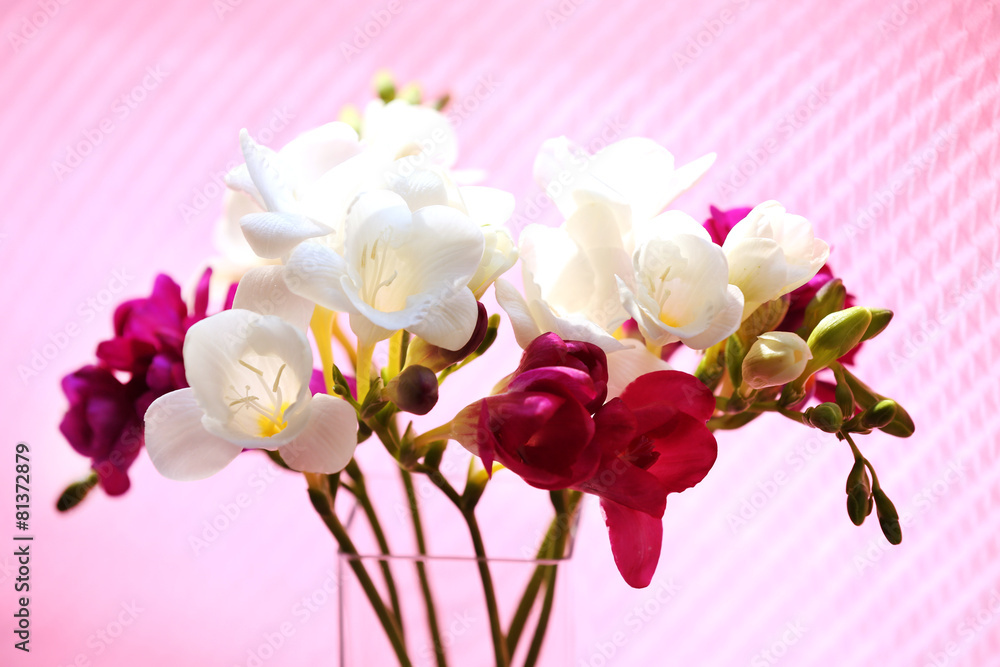 Obraz premium Beautiful spring flowers on pink background