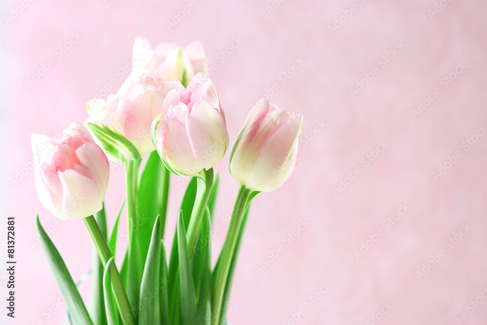 Beautiful spring flowers on pink background