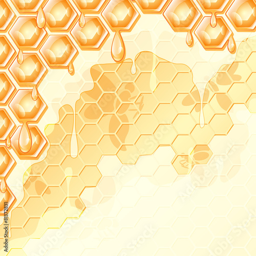 honey honeycomb