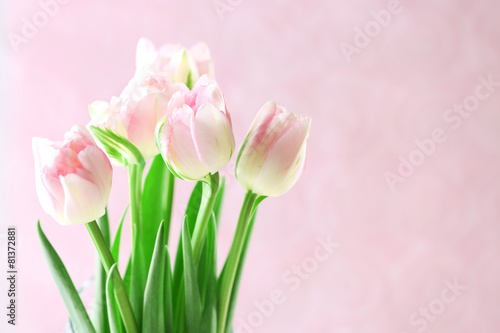 Beautiful spring flowers on pink background