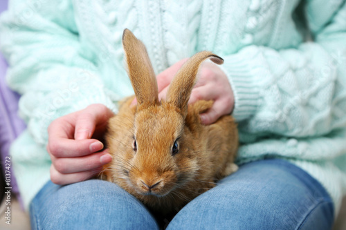 Woman holding little cute rabbit, close up