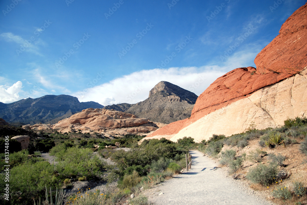 Changing Colors / Red Rock Canyon in Nevada Changing Colors / Red Rock Canyon in Nevada