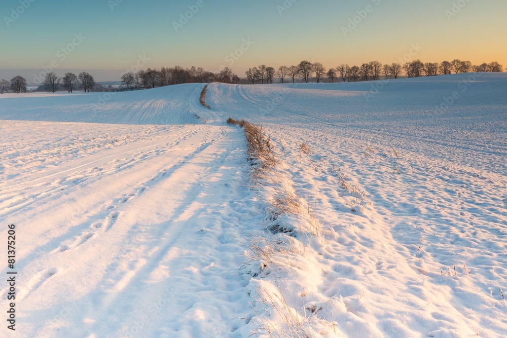 Beautiful winter field landscape.