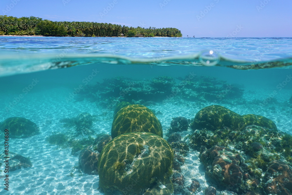 Obraz premium Above and below sea surface with corals and island
