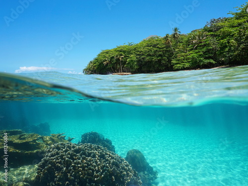 Lush tropical shore and corals underwater