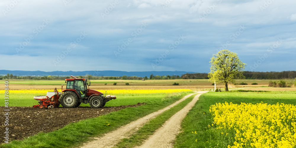 Naklejka premium Traktor auf dem Feld bei der Arbeit