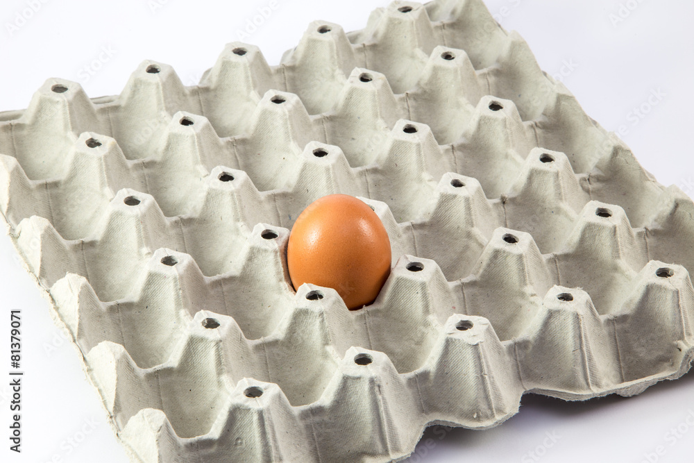Fototapeta premium Egg in the package