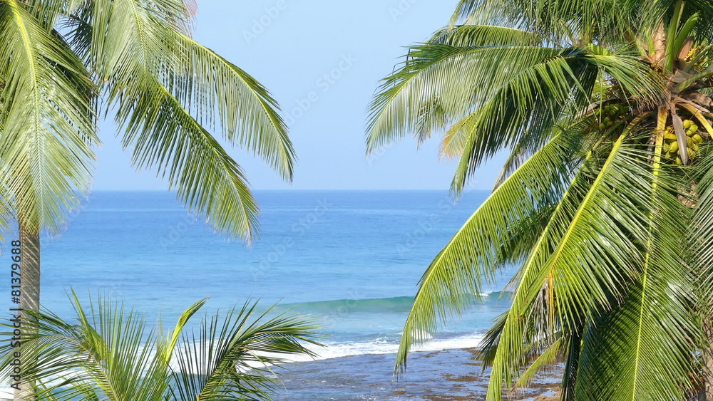 beautiful blue sea landscape with palm leaves on foreground beautiful blue sea landscape with palm leaves on foreground
