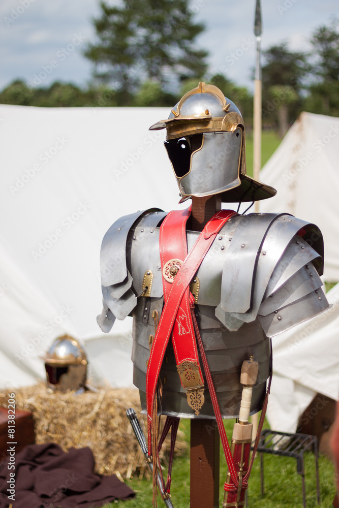 Naklejka premium Imperium Romanum 8